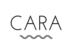 the cara company